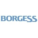 borgess